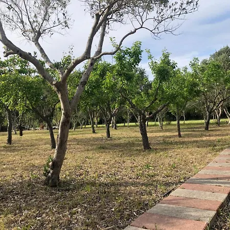 Fleming 46 Σπίτι διακοπών Αλγκέρο